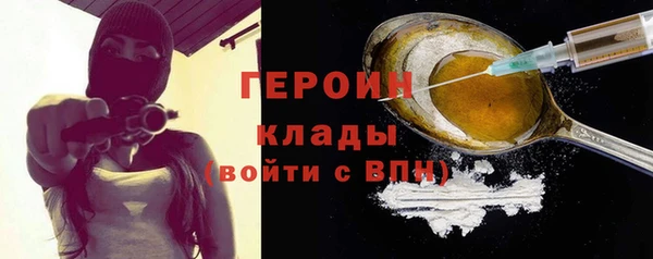 твердый Лагань