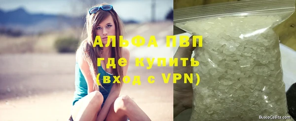 твердый Лагань