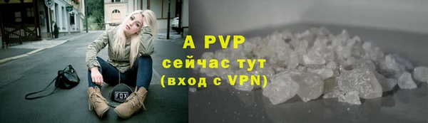 твердый Лагань